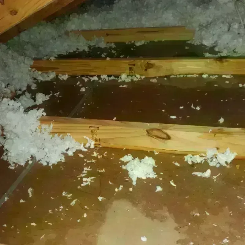 Attic Water Damage in Audubon County, IA